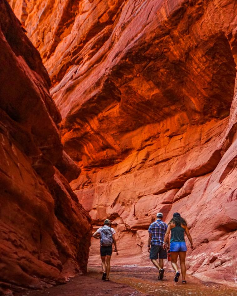 Photograph from a Sand and Stars private tour in the Moab area
